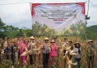 Panen Raya Jagung Serentak Kuartal VI Polres Tasikmalaya Kota Dukung Swasembada Pangan Tahun 2025